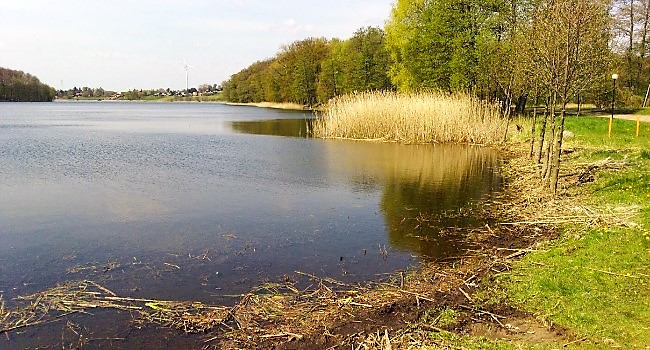 Czyszczenie plaży miejskiej