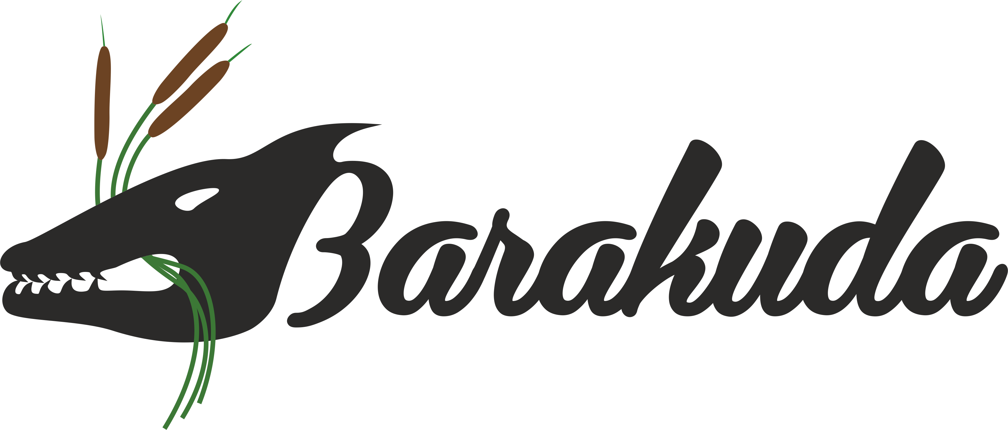 Barakuda, oczyszczanie zbiorników wodnych